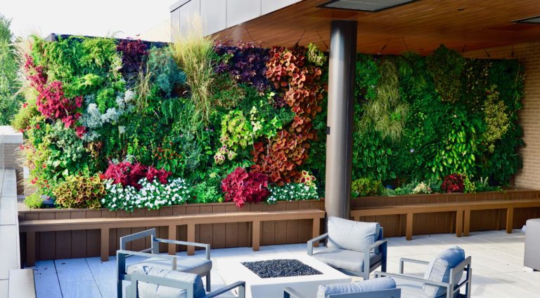 Read more about the article Living It Up With Vertical Gardens