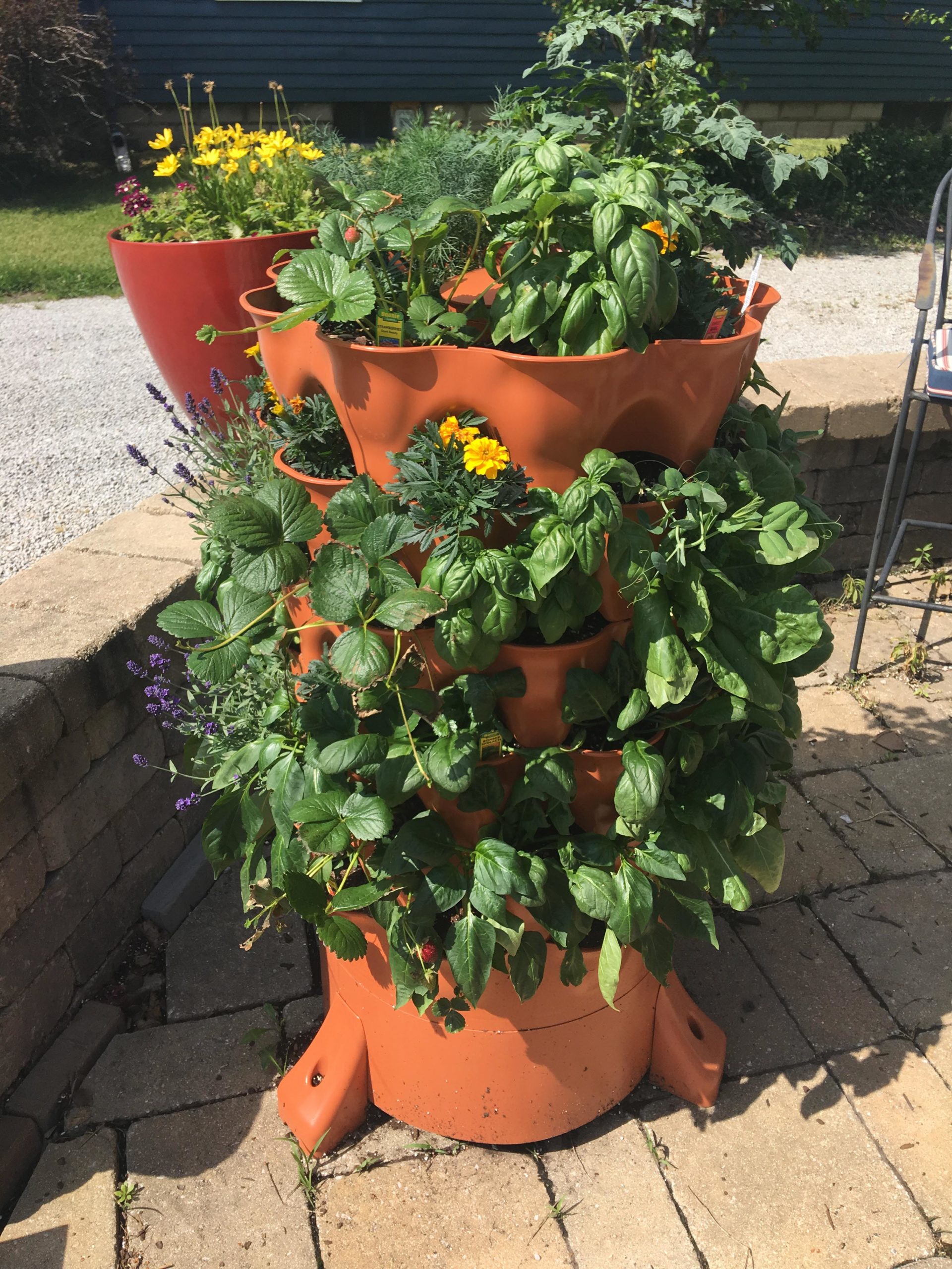 Strawberry Planters For Sale