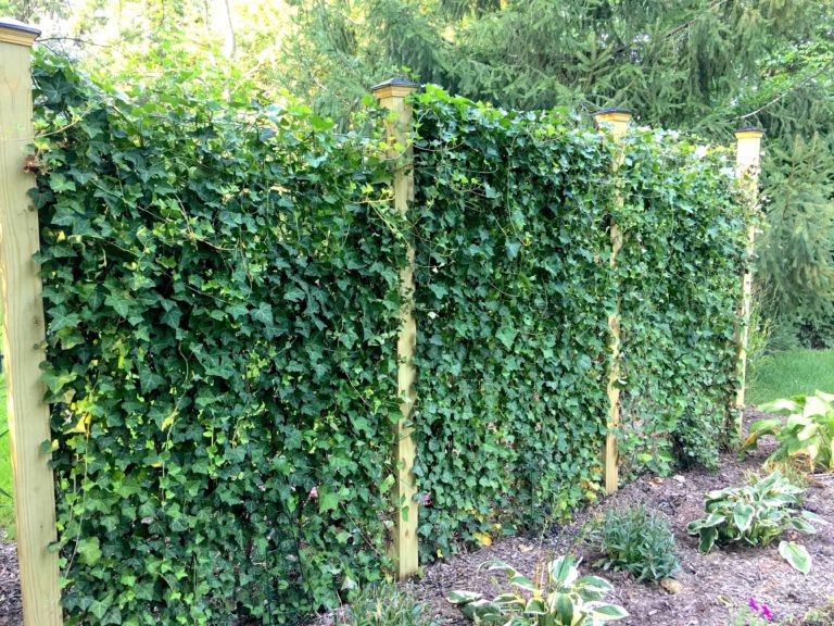Green Living Fence Panels
