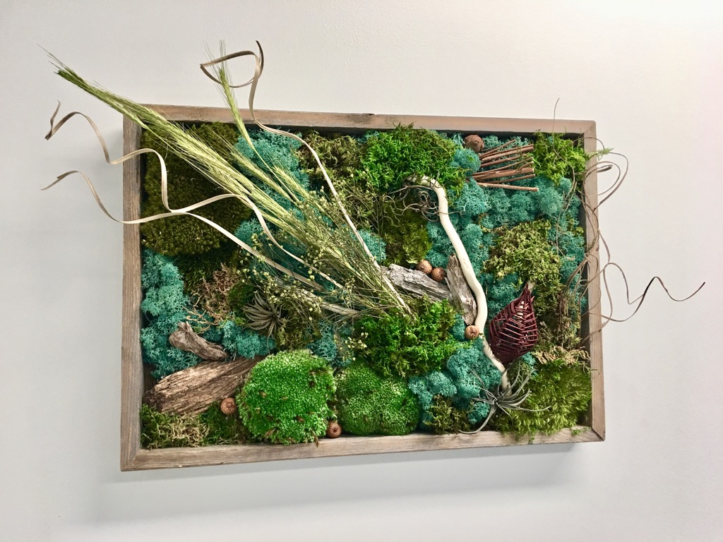 All You Need to Know About Plant and Moss Wall Art