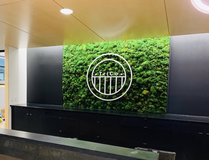 Trico-Office-Logo-Moss-Wall