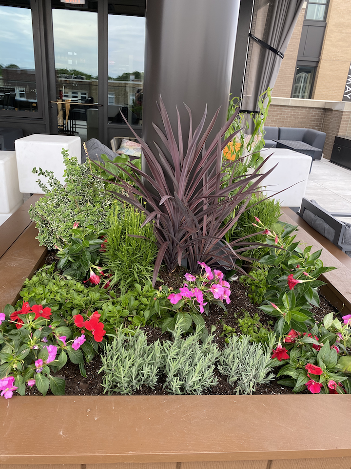 3UP-Resturant-Living-Outdoor-Planters