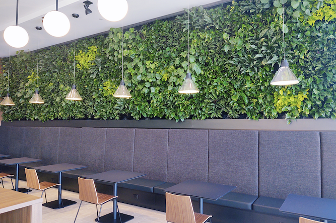 R1VER-Restaurant-Living-Plant-Wall