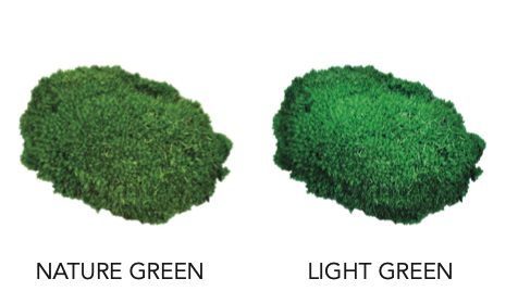 different green shades of pole moss
